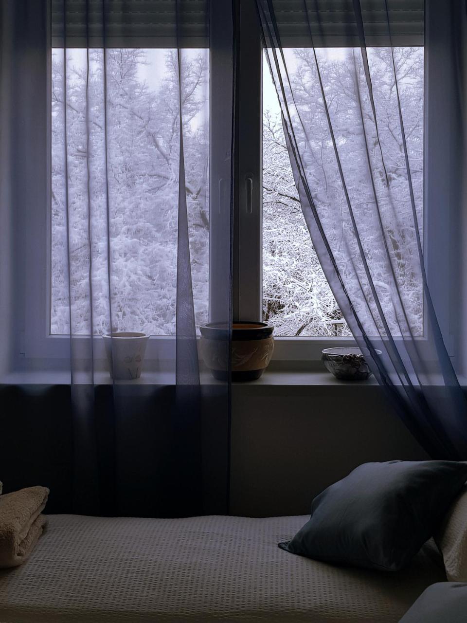 Konstantin Lux Apartment Subotica Luaran gambar